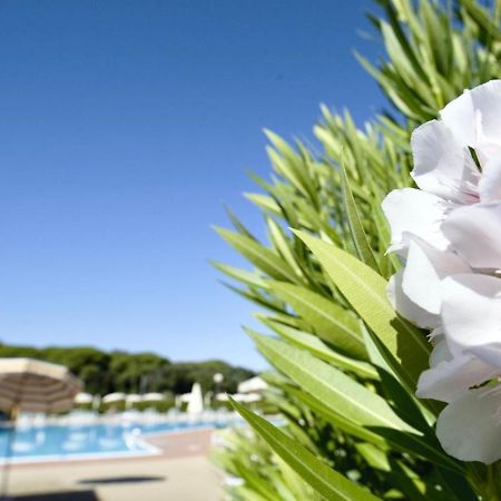 Isa-Apartments 4 Beds In Residence With Swimming-Pool In San Vincenzo, Just 600 Meters From The Sea 外观 照片