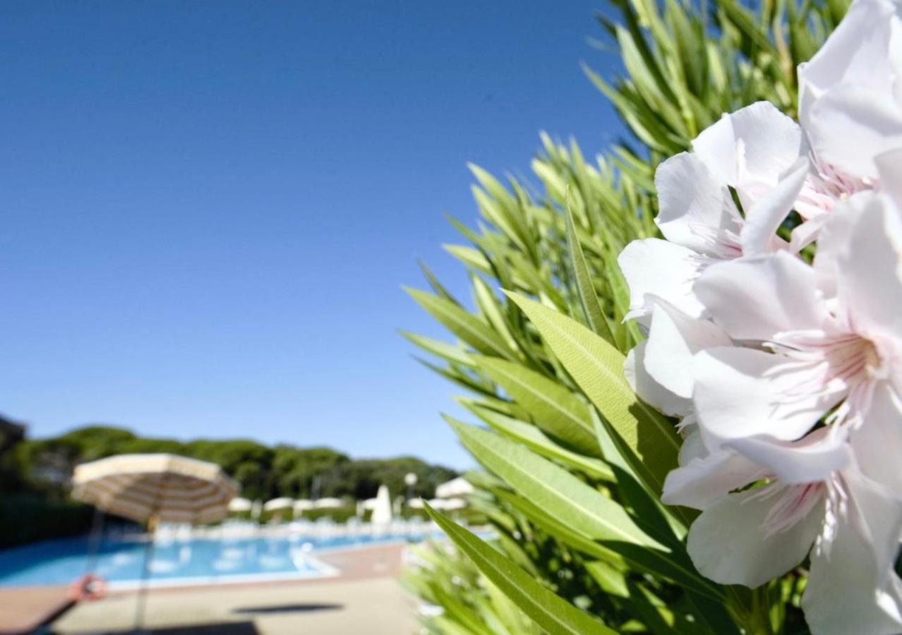 Isa-Apartments 4 Beds In Residence With Swimming-Pool In San Vincenzo, Just 600 Meters From The Sea 外观 照片